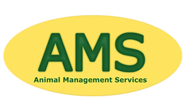 AMS Products